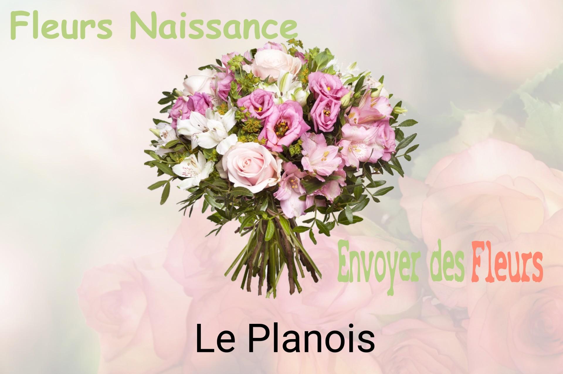 Bouquet de fleurs de naissance livré à Le Planois